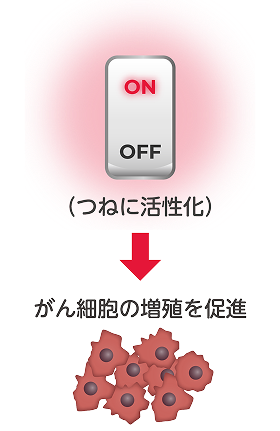 KRASに変異がある場合 イメージ図