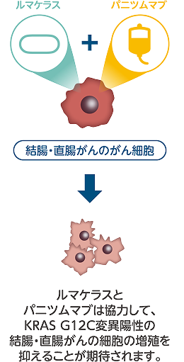 併用療法 イメージ図